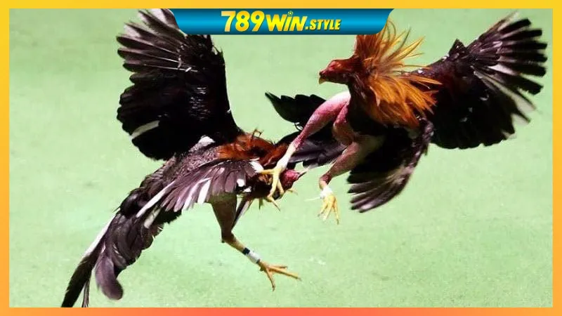 GO88 – LINK VÀO GO88, TẢI APP GO88