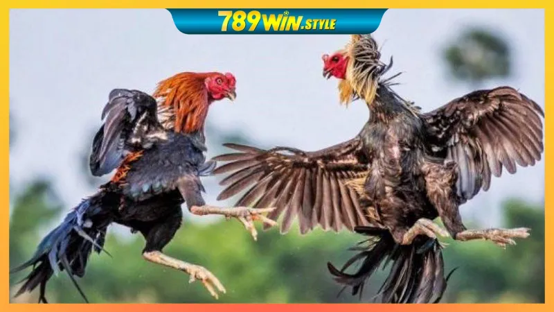 GO88 – LINK VÀO GO88, TẢI APP GO88