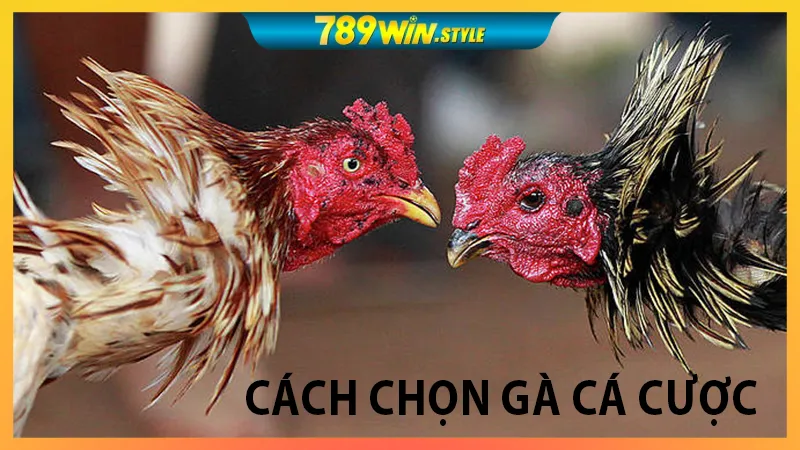 GO88 – LINK VÀO GO88, TẢI APP GO88