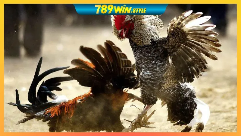 GO88 – LINK VÀO GO88, TẢI APP GO88